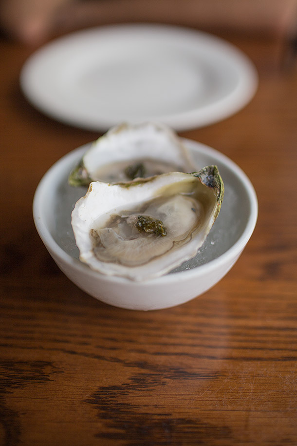 Oysters from Momofuku