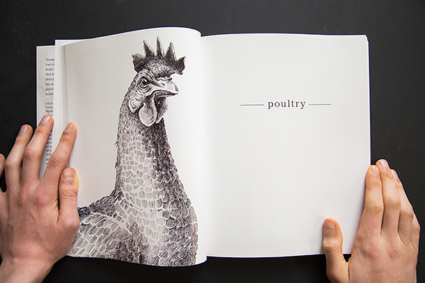 Poultry-illustration-section-open