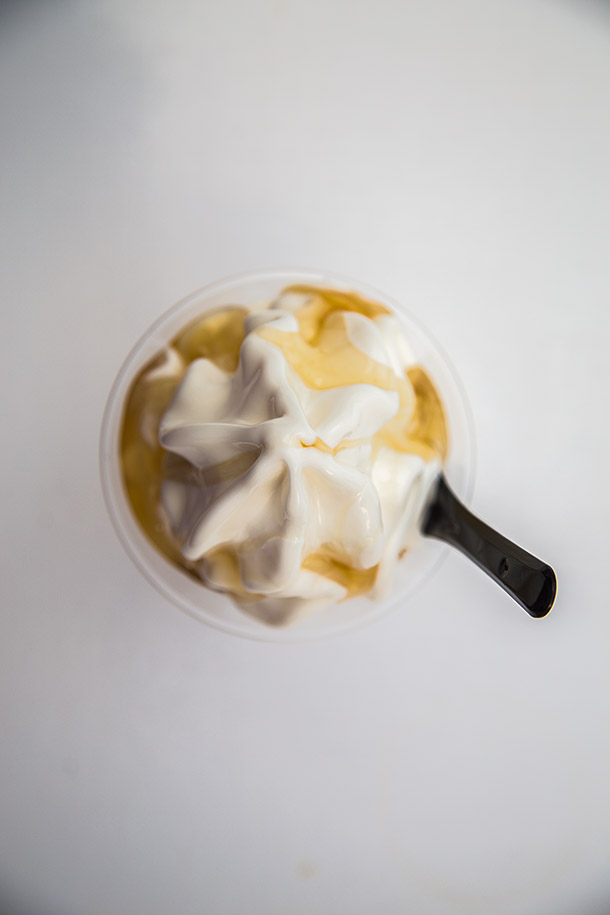 Frozen-yogurt-and-honey